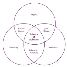 SMI's knowledge lies across different science fields